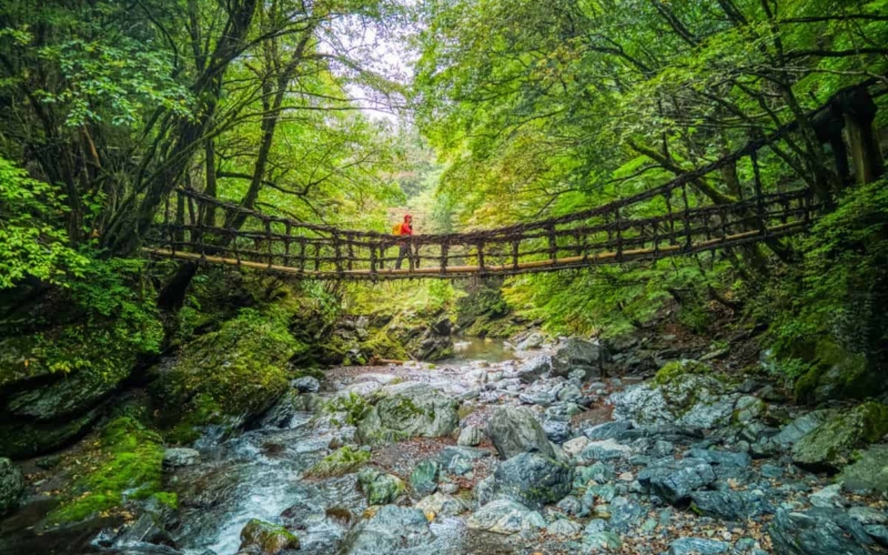 12 day shikoku itinerary featured