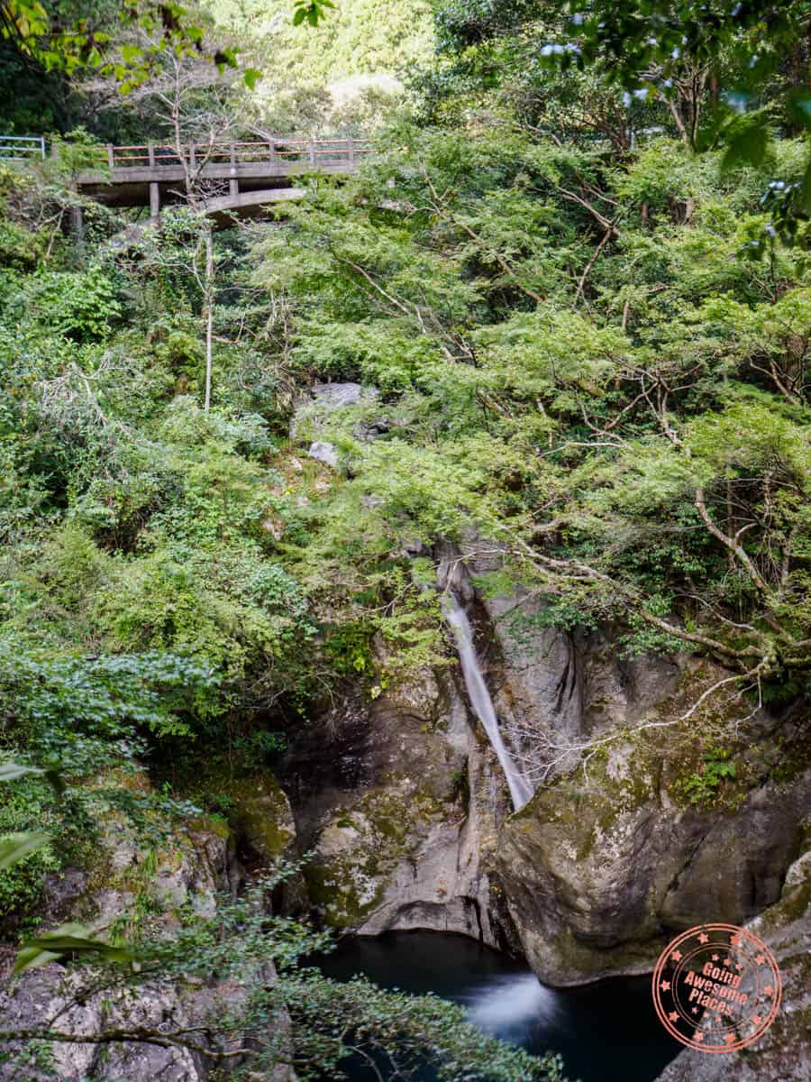 nakaatsu gorge ryugubuchi view