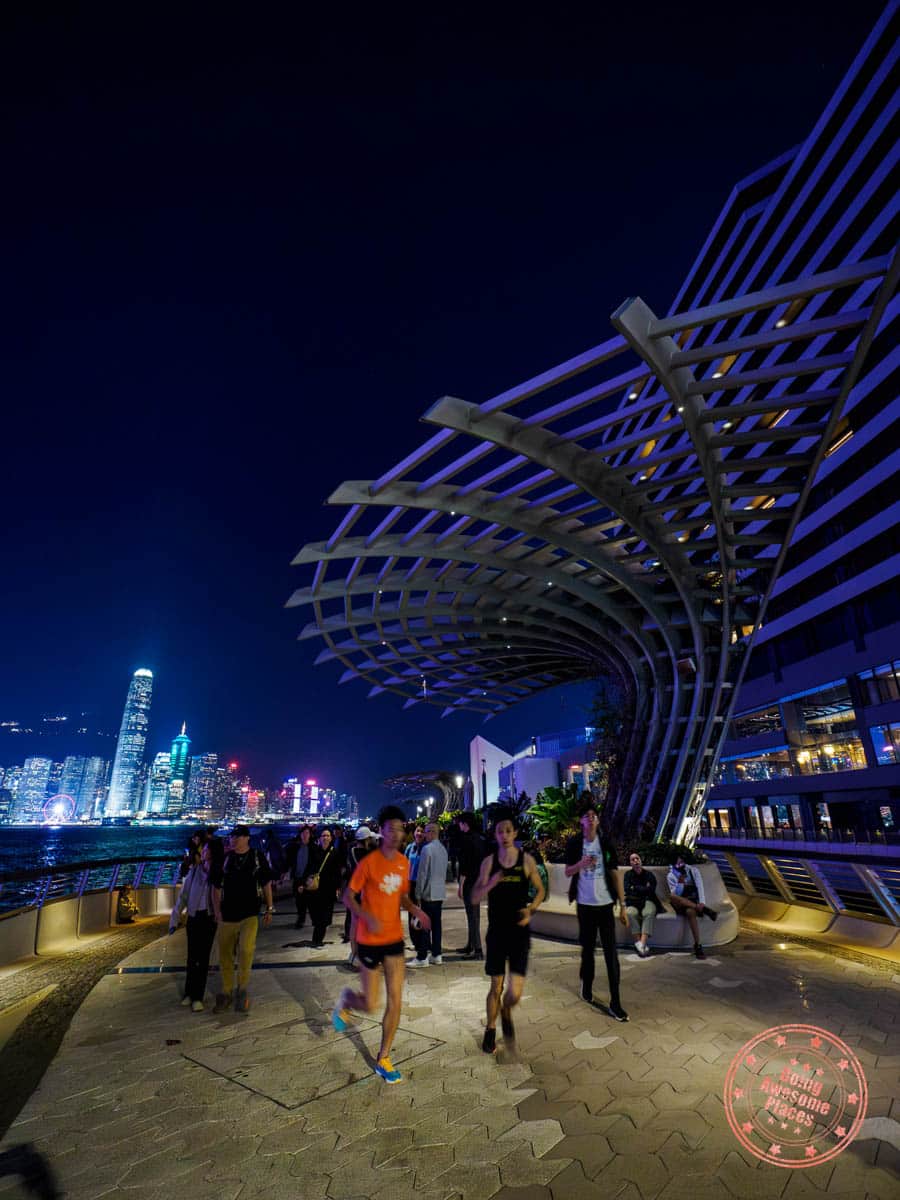 avenue of the stars boardwalk and promenade at night