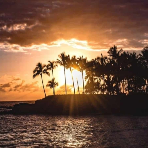 things to do in kona featured