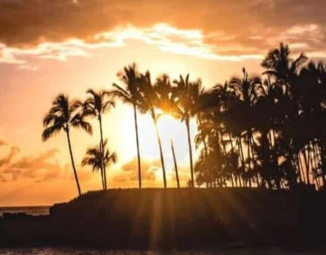 things to do in kona featured