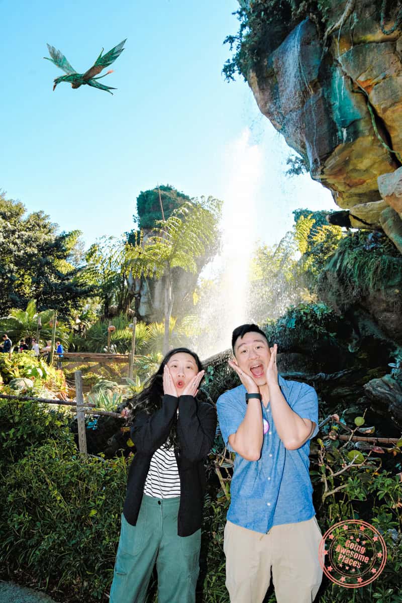 avator pandora area with photopass magic shot with banshees