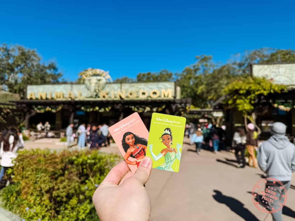 disney world physical card tickets