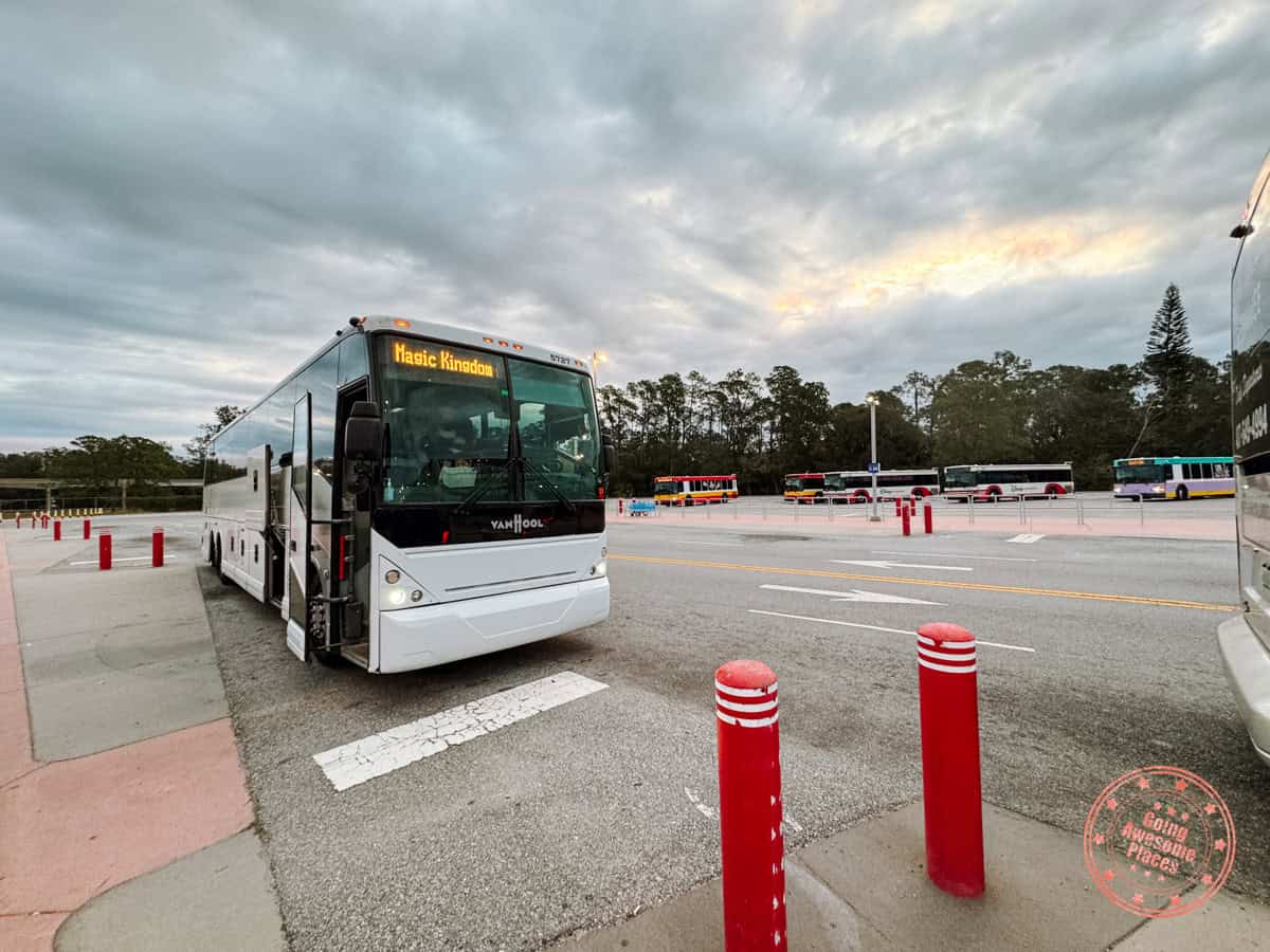 magic kingdom drop off fabulous buses