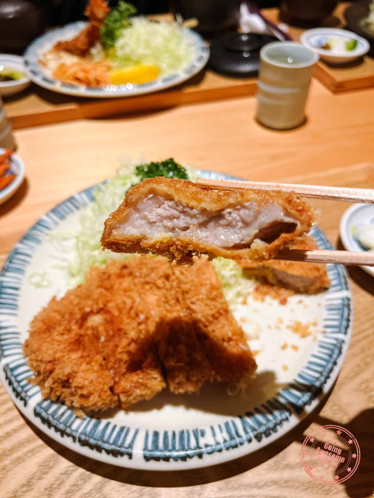 10 Day Japan Itinerary For First Timers - Modern Golden Route juicy and crispy tonkatsu at bairin ginza honten in tokyo