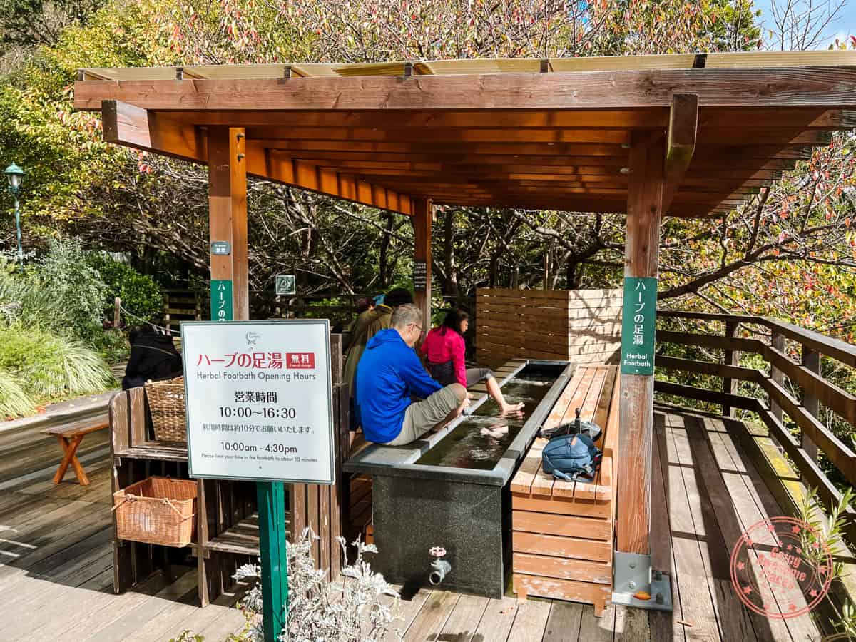 10 Day Japan Itinerary For First Timers - Modern Golden Route kobe nunobiki herb gardens foot onsen