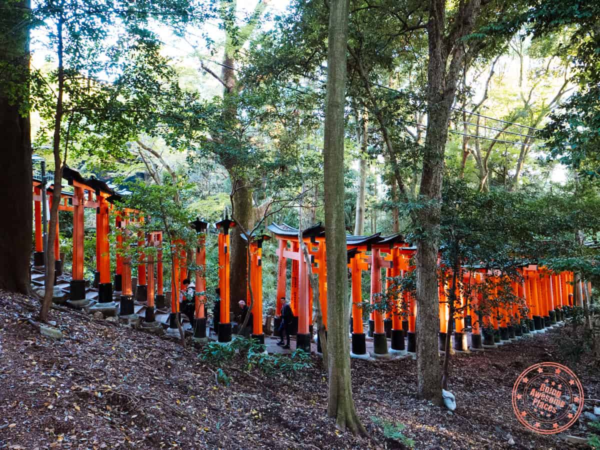10 Day Japan Itinerary For First Timers - Modern Golden Route fushimi inari path of stacked torii gates
