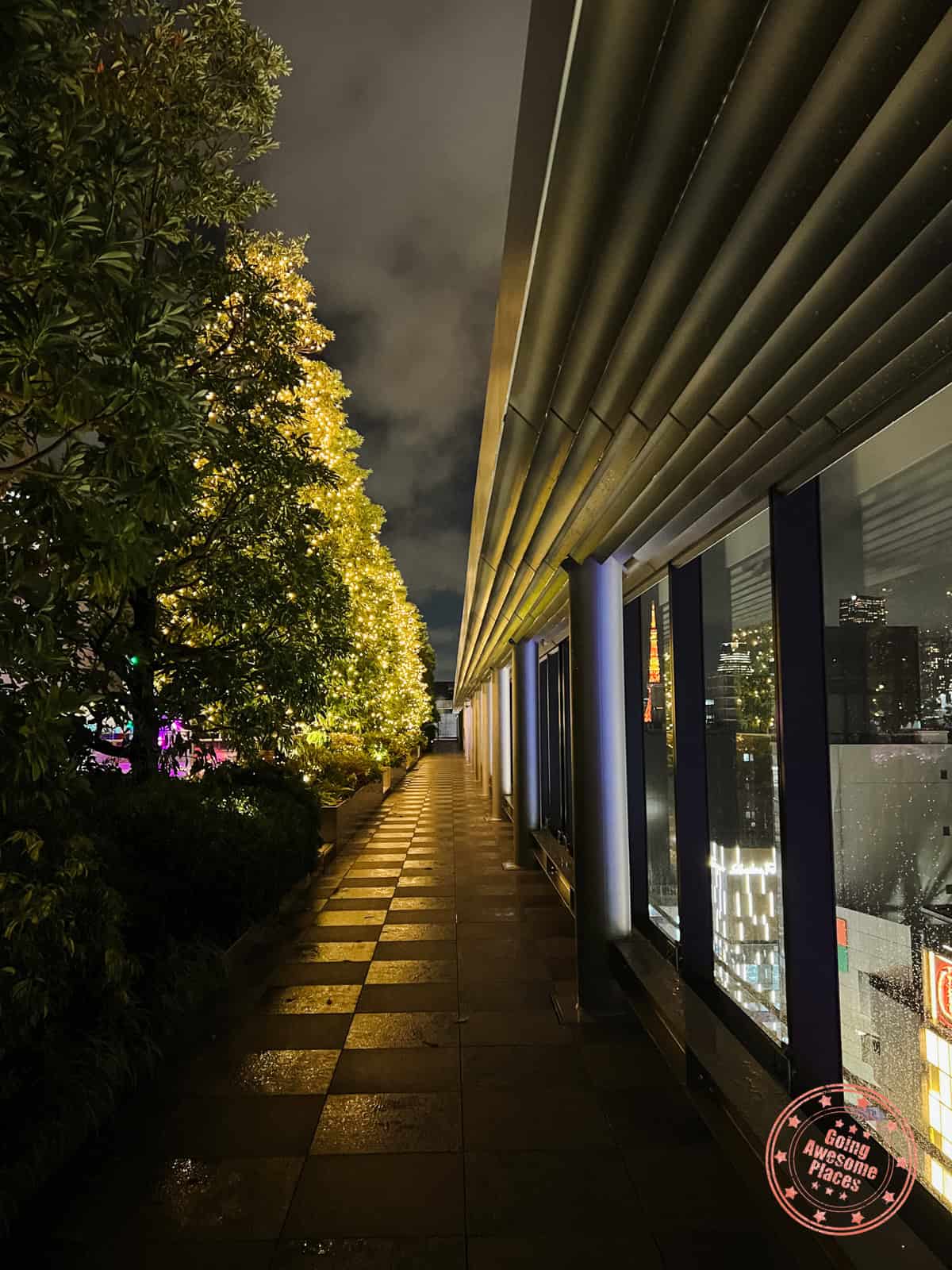 10 Day Japan Itinerary For First Timers - Modern Golden Route hidden rooftop at the ginza six shopping mall