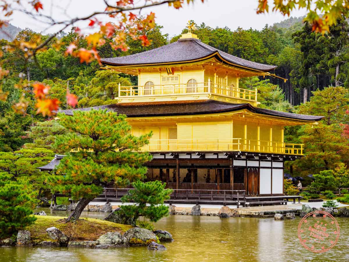10 Day Japan Itinerary For First Timers - Modern Golden Route kinkakuji golden pavilion temple in kyoto during the fall season