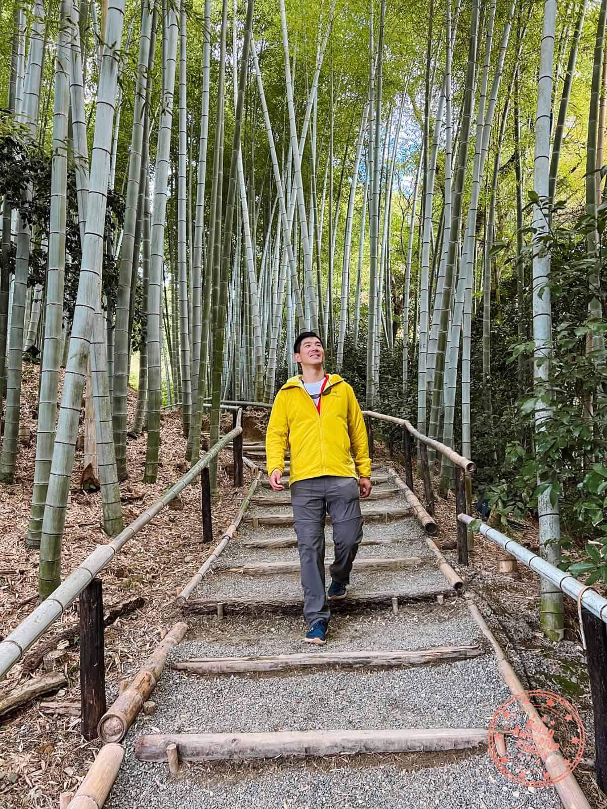 10 Day Japan Itinerary For First Timers - Modern Golden Route kodaiji temple hidden bamboo forest path