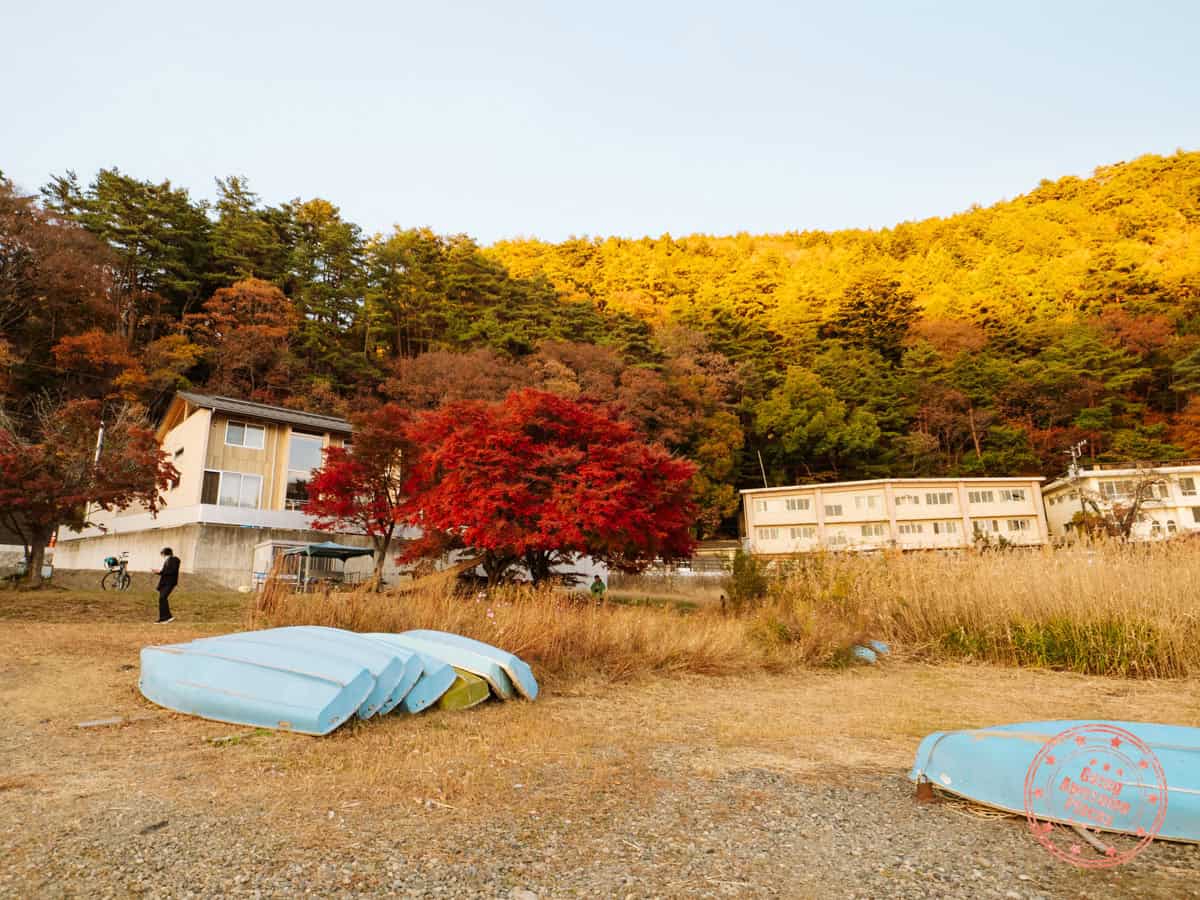 10 Day Japan Itinerary For First Timers - Modern Golden Route lake kawaguchiko oishi park autumn foliage best photography location