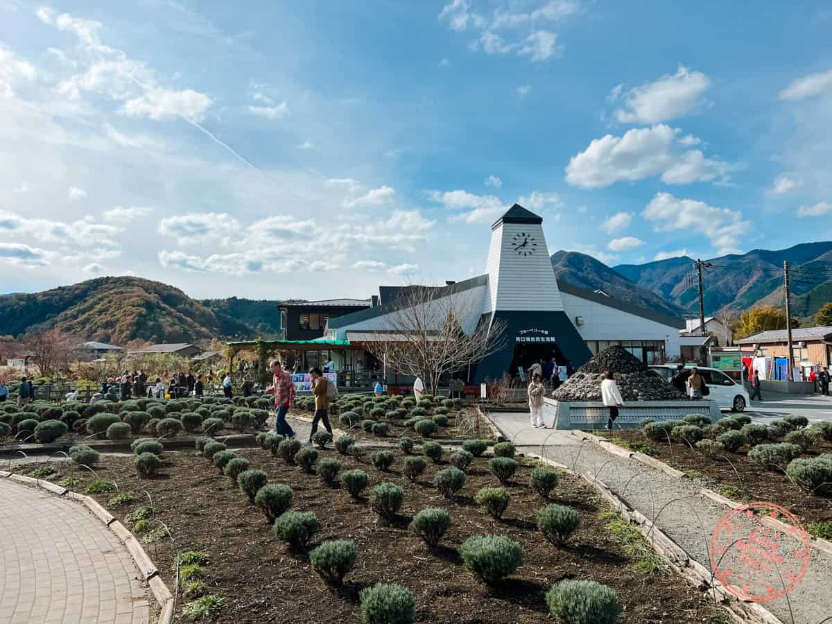10 Day Japan Itinerary For First Timers - Modern Golden Route lake kawaguchiko oishi park visitor center