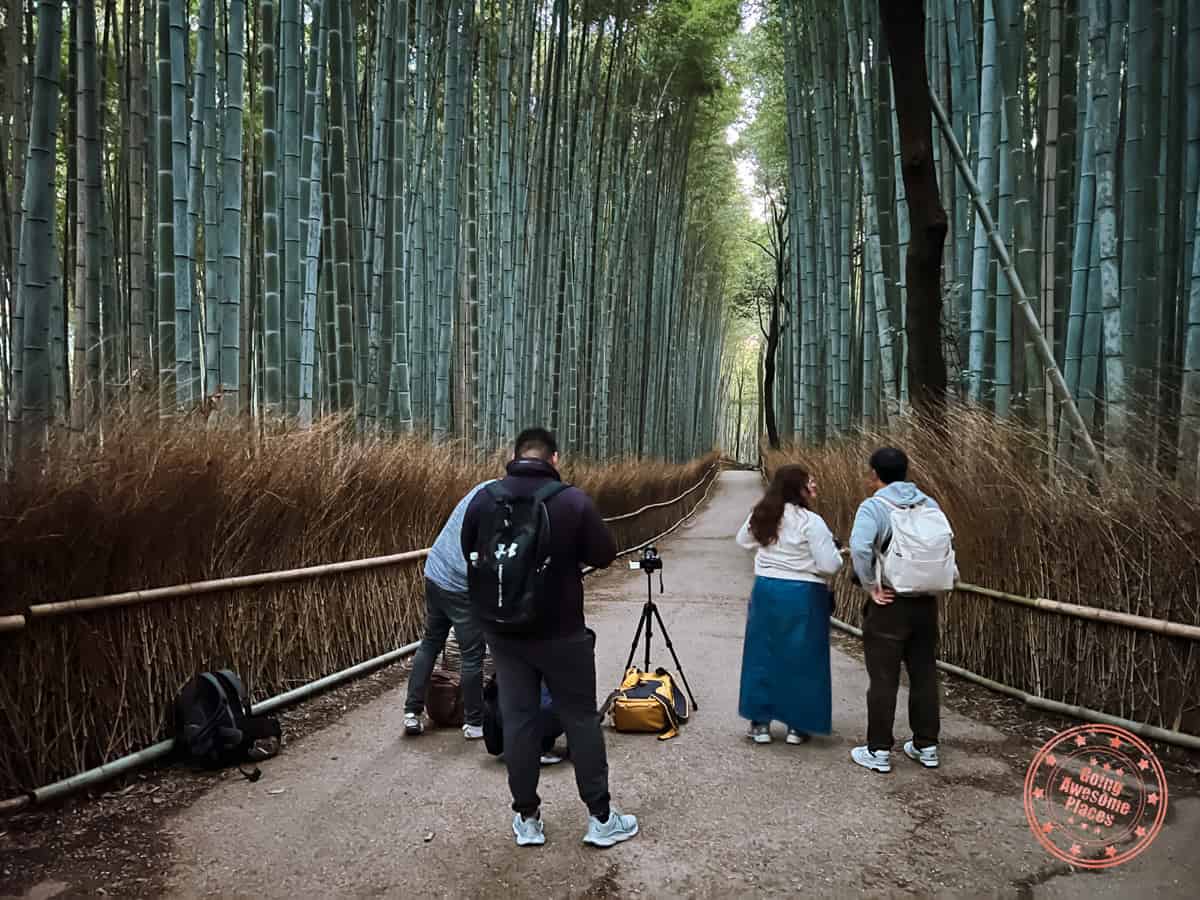 10 Day Japan Itinerary For First Timers - Modern Golden Route line of photographers at arashiyama bamboo forest
