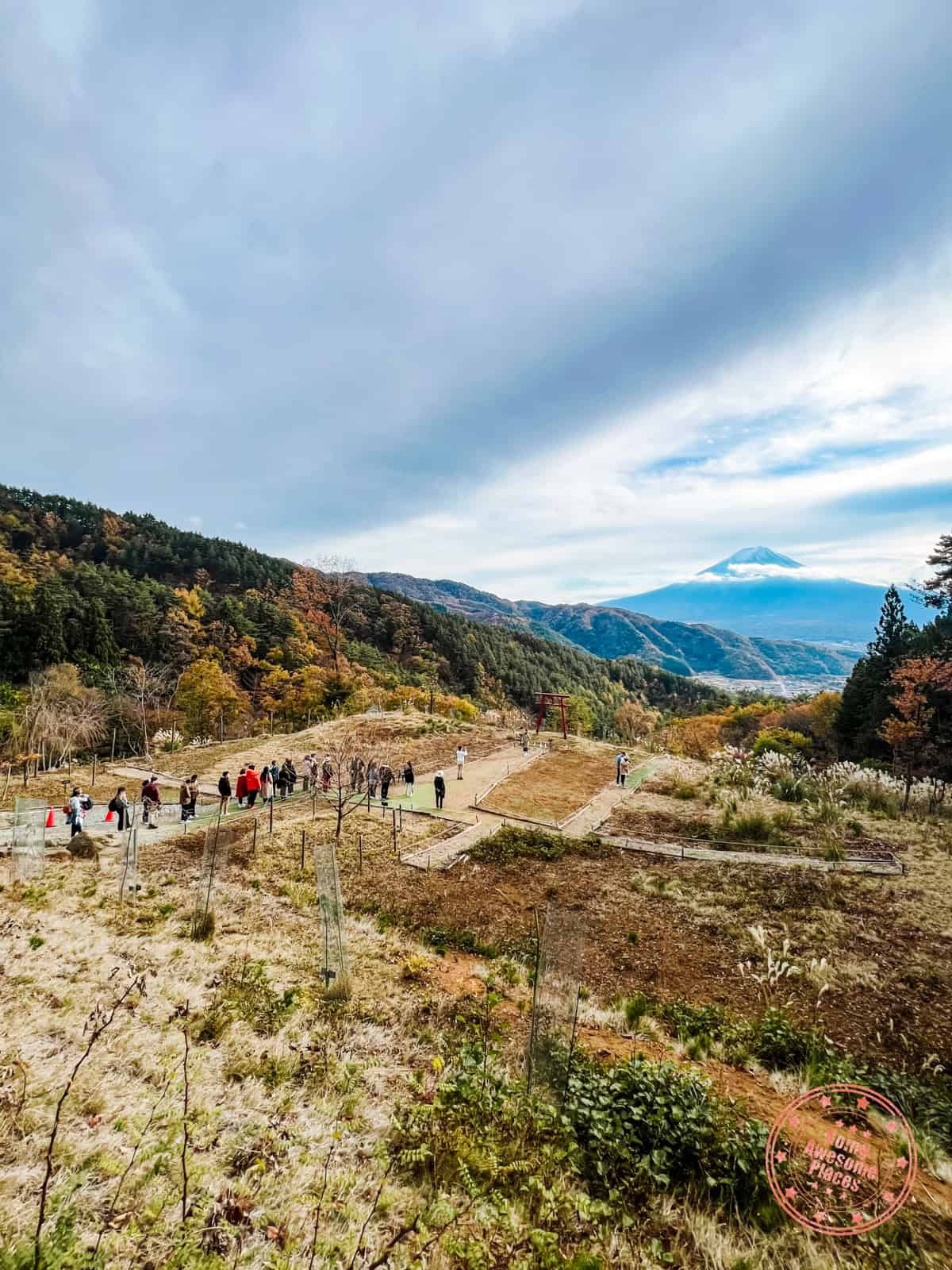 10 Day Japan Itinerary For First Timers - Modern Golden Route long queue at tenku no torii