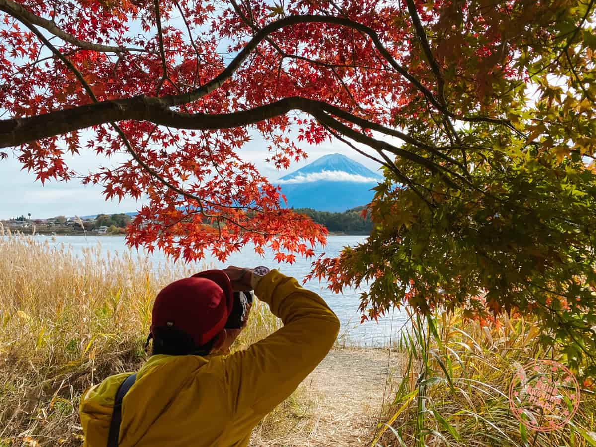 10 Day Japan Itinerary For First Timers - Modern Golden Route photographer taking photos with autumn leaves at momiji tunnel