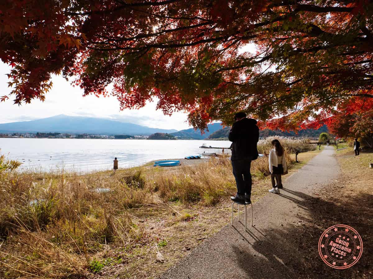 10 Day Japan Itinerary For First Timers - Modern Golden Route oishi park secret maple leaves photography location