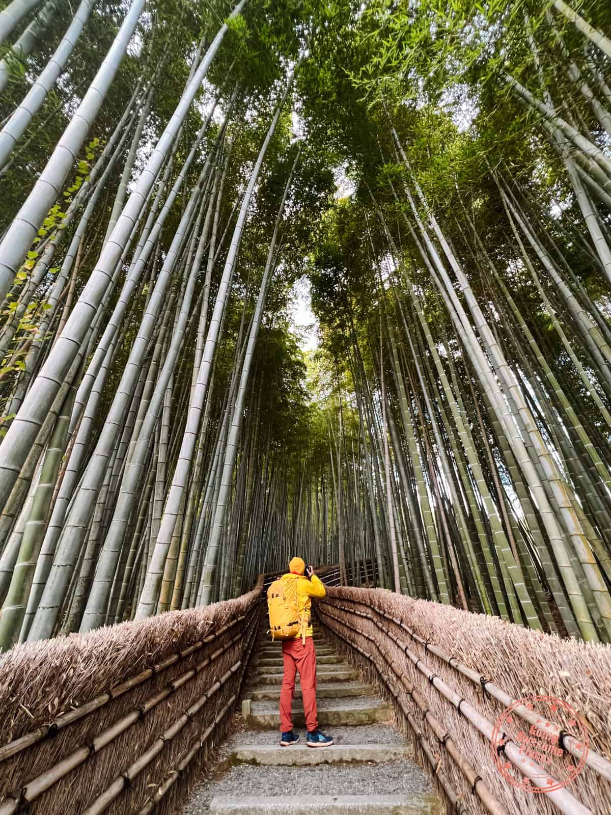 10 Day Japan Itinerary For First Timers - Modern Golden Route photographer posing at adashino nenbutsuji temple hidden bamboo forest