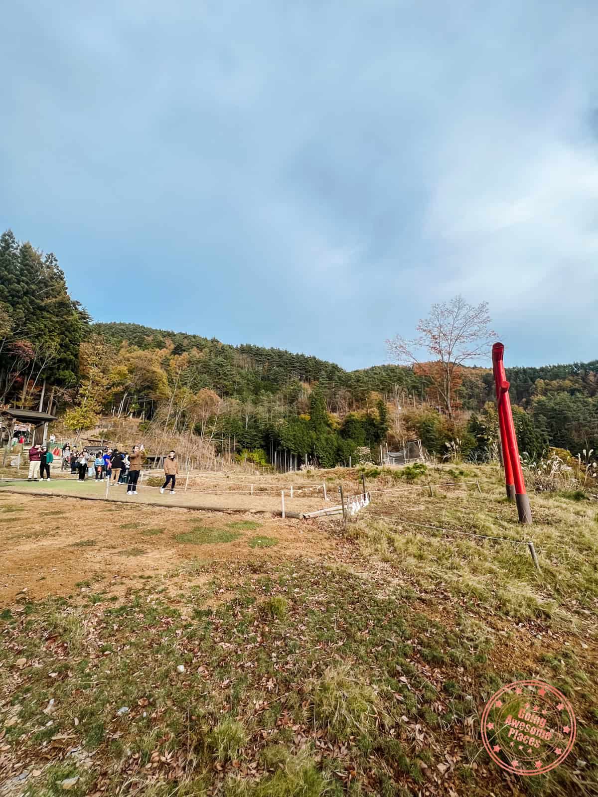 10 Day Japan Itinerary For First Timers - Modern Golden Route reality of taking photos at tenku no torii