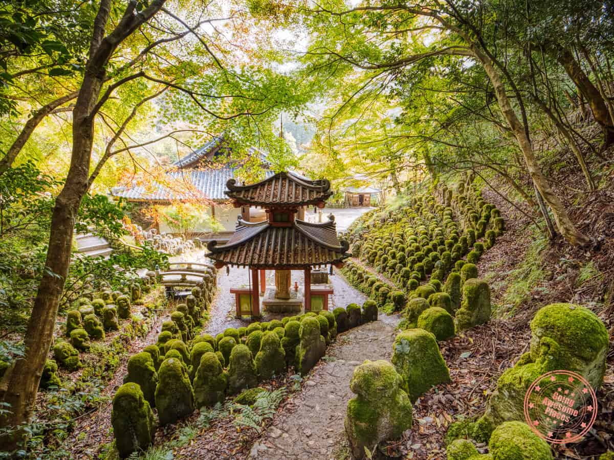 10 Day Japan Itinerary For First Timers - Modern Golden Route picturesque rear of otagi nenbutsuji temple