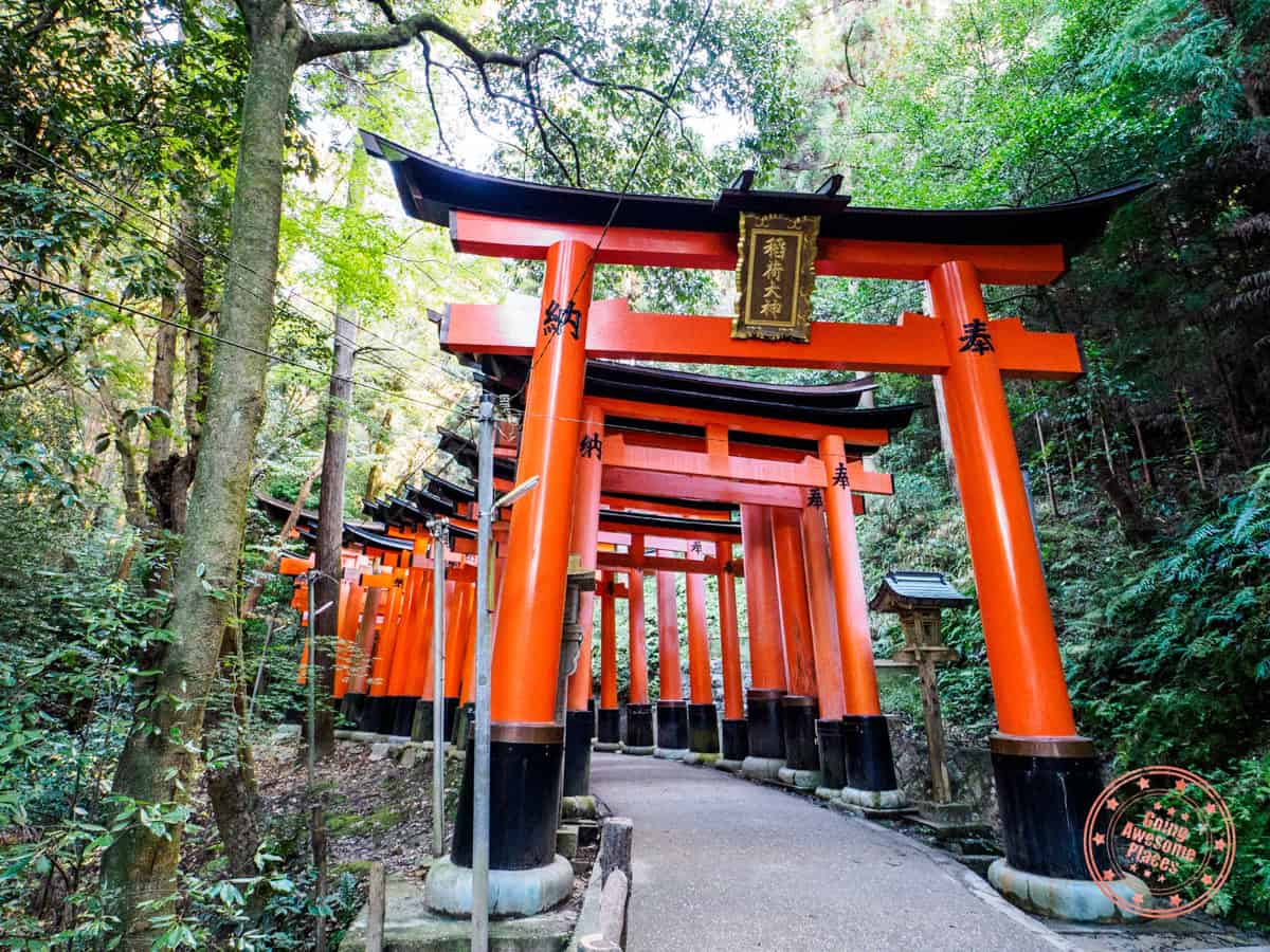 10 Day Japan Itinerary For First Timers - Modern Golden Route red torii gates of fushimi inari in kyoto japan