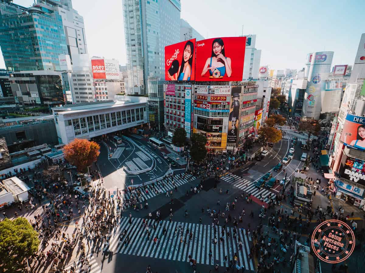 10 Day Japan Itinerary For First Timers - Modern Golden Route shibuya crossing scramble view from mag8 rooftop lounge
