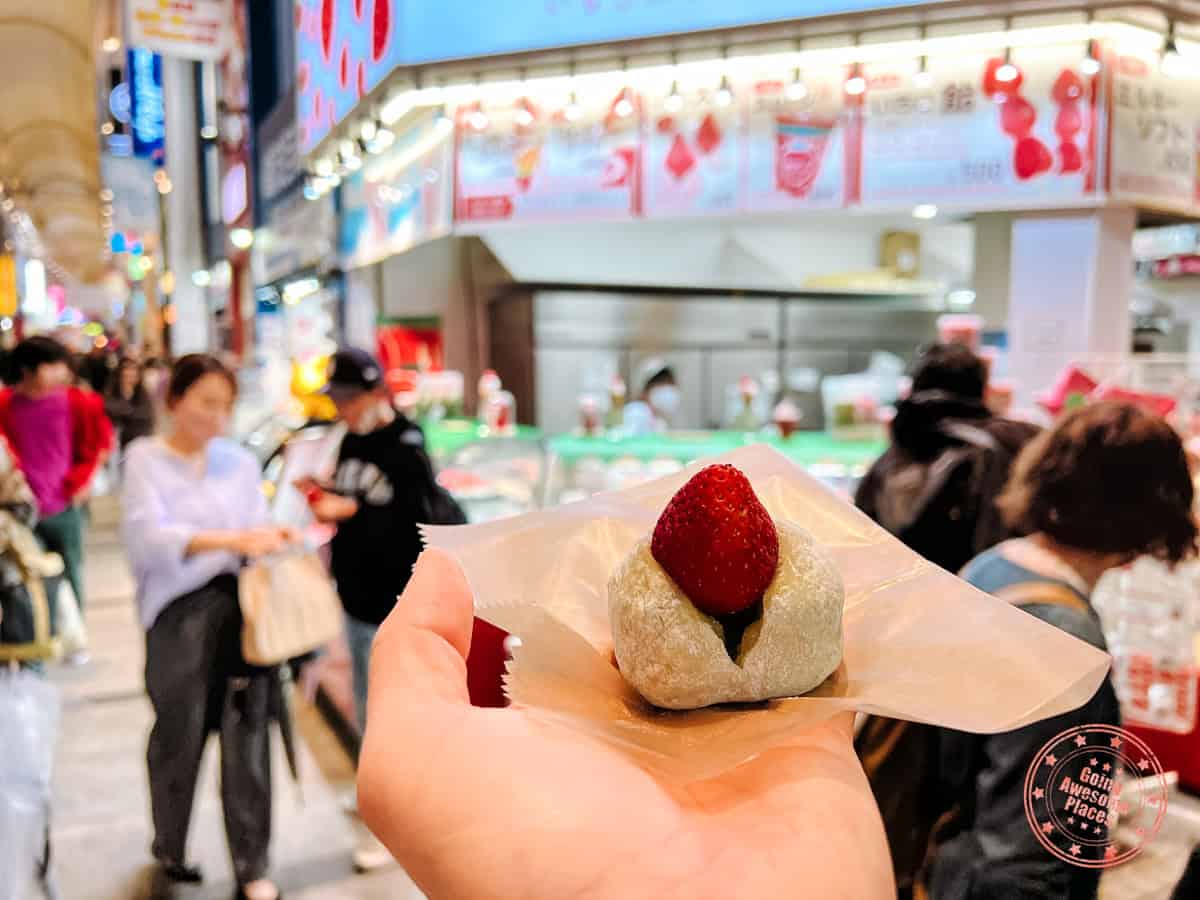 10 Day Japan Itinerary For First Timers - Modern Golden Route holding a strawbery mochi in front of strawberry mania in osaka