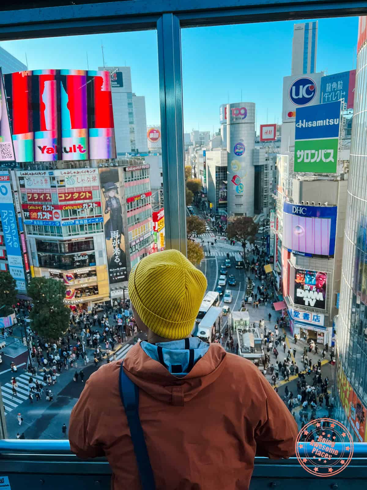 10 Day Japan Itinerary For First Timers - Modern Golden Route viewing shibuya crossing from rooftop lounge