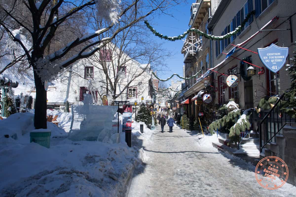 quartier petit champlain covered in snow and decorated for christmas