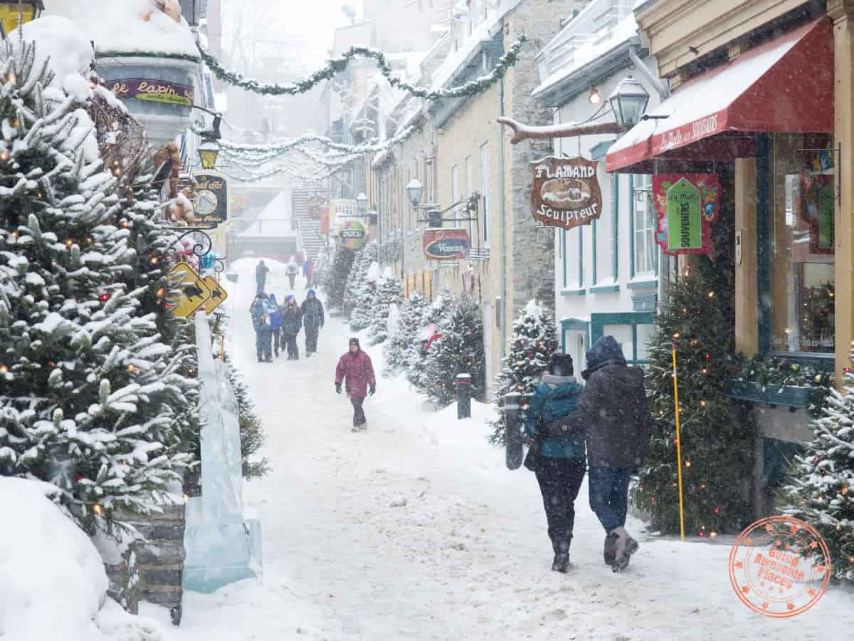 christmas markets quebec street decorated with trees