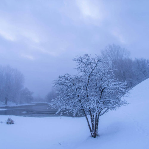 snowy landscape in quebec