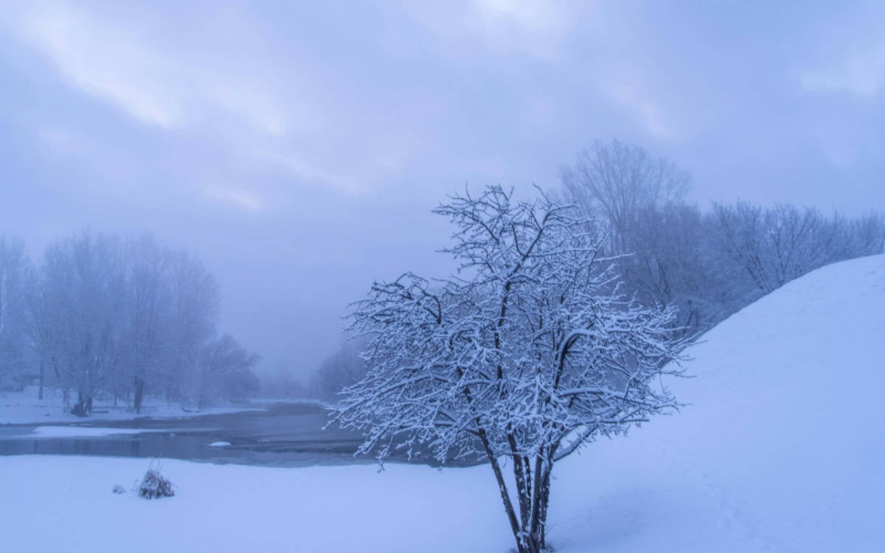 snowy landscape in quebec