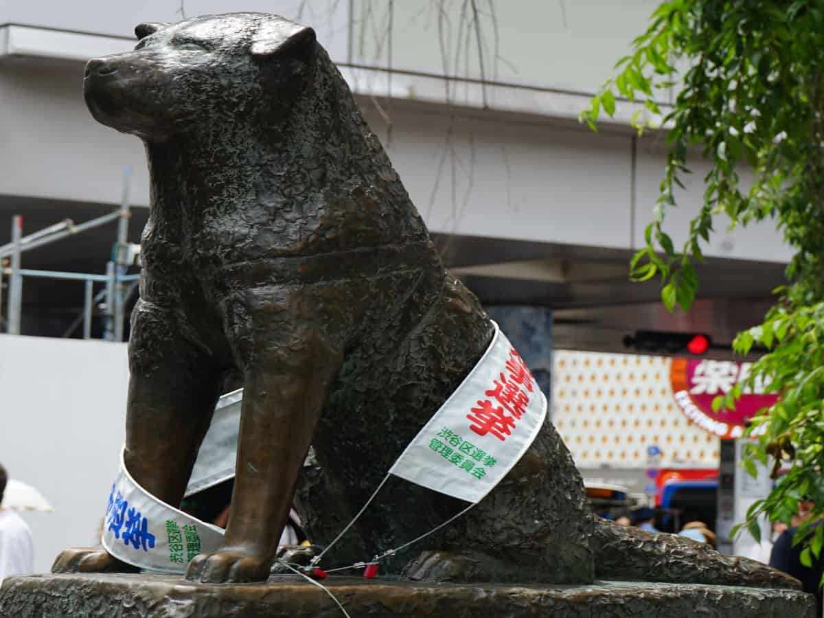 hachikō memorial statue