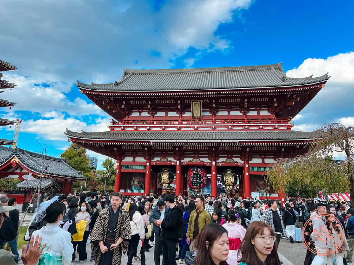 tourists surrounding meiji shrine