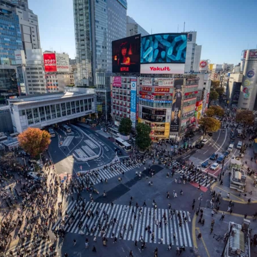 shibuya scramble in tokyo