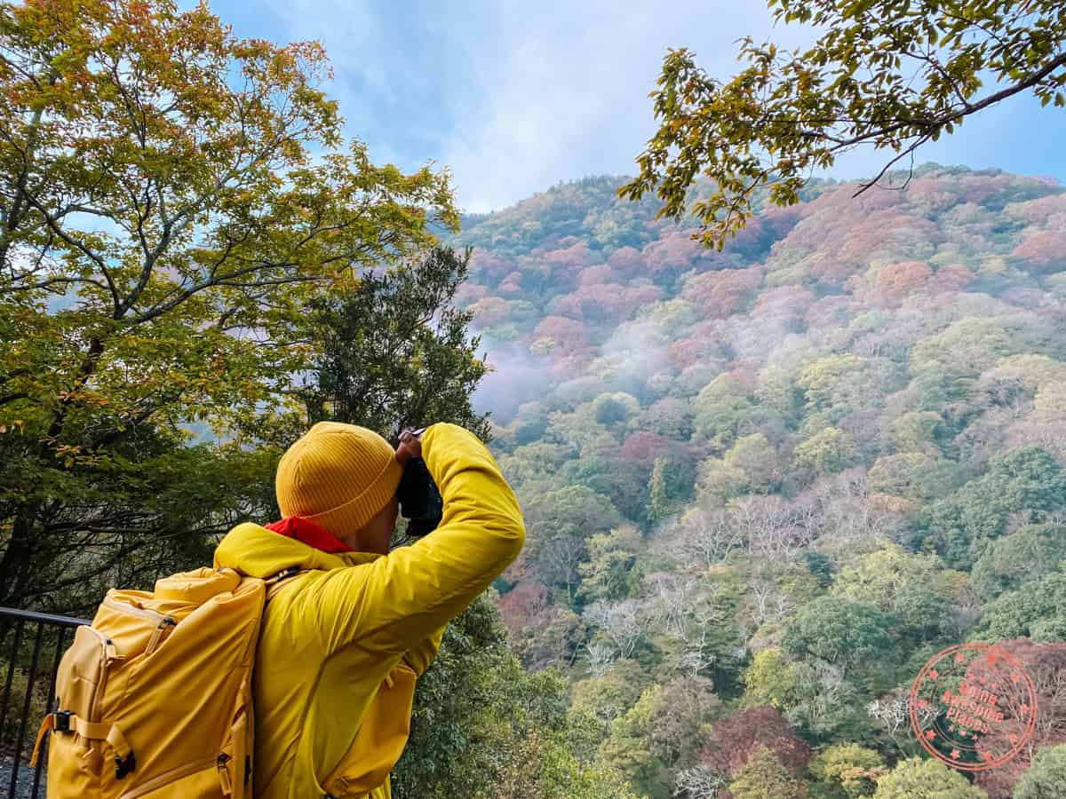 capturing the beauty of kyoto in photographs