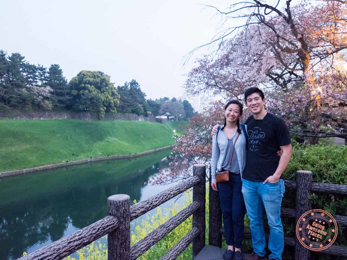 standing under cherry blossom tree near lake in tokyo