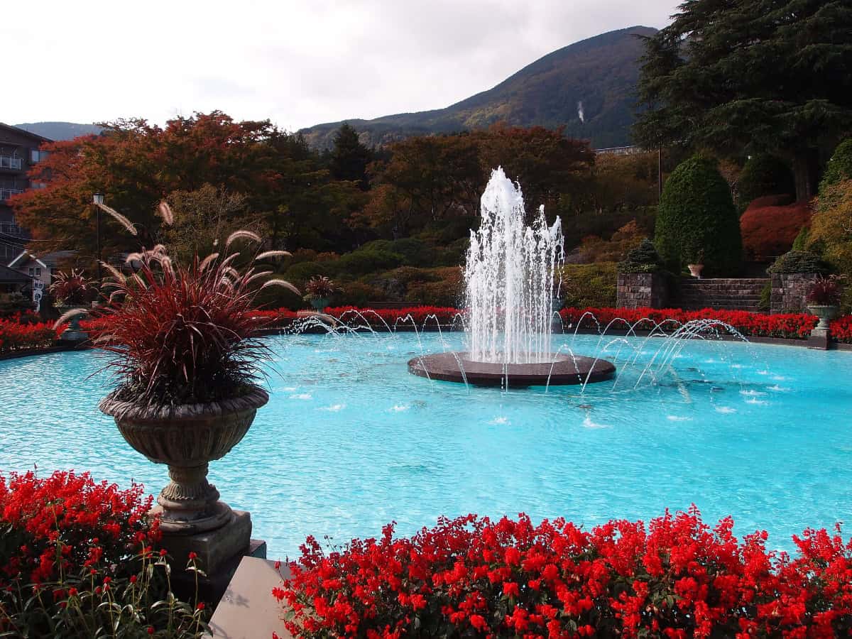 fountain amongst flowers in bloom at gora park