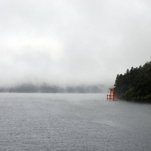 torri gate in water on foggy day