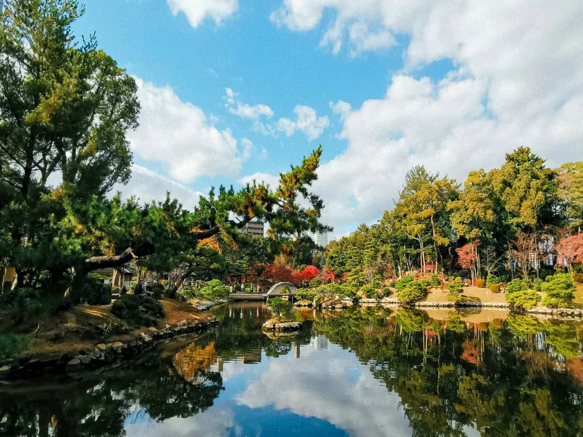 beautiful green trees encasing calm water at shukkeien garden