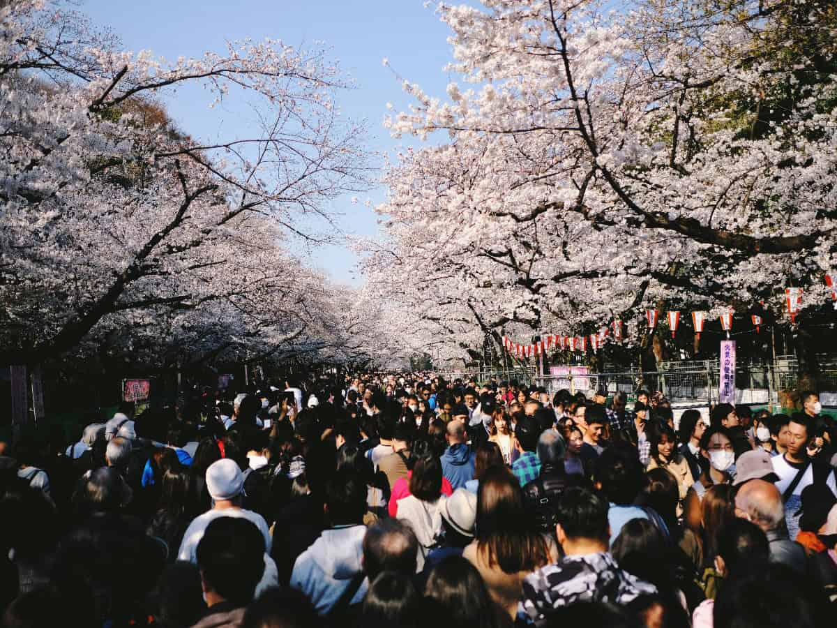 crowds of people gathered in ueno park for cherry blossom festival