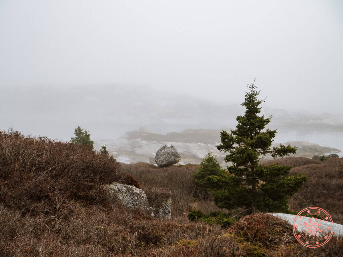 balancing cube rock on polly cove trail