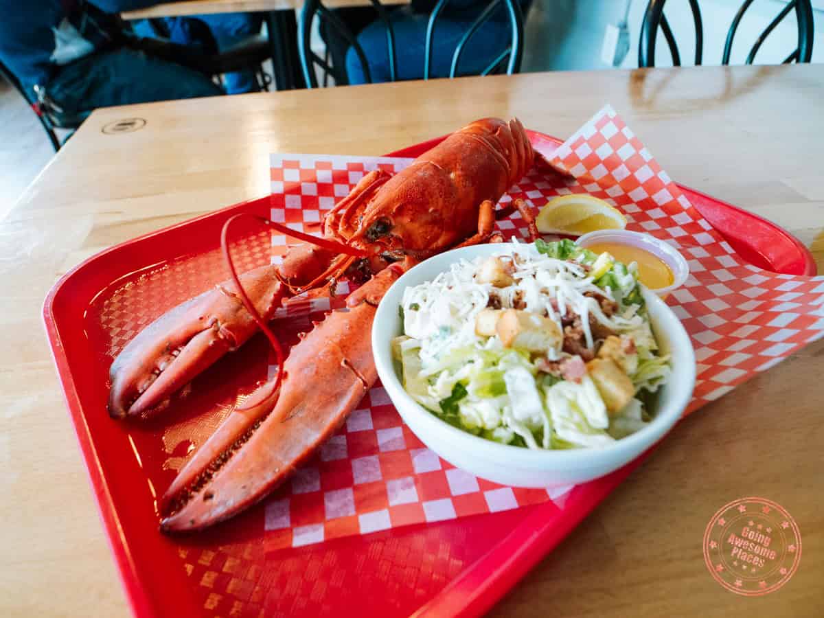 fresh boiled lobster at shaw's landing