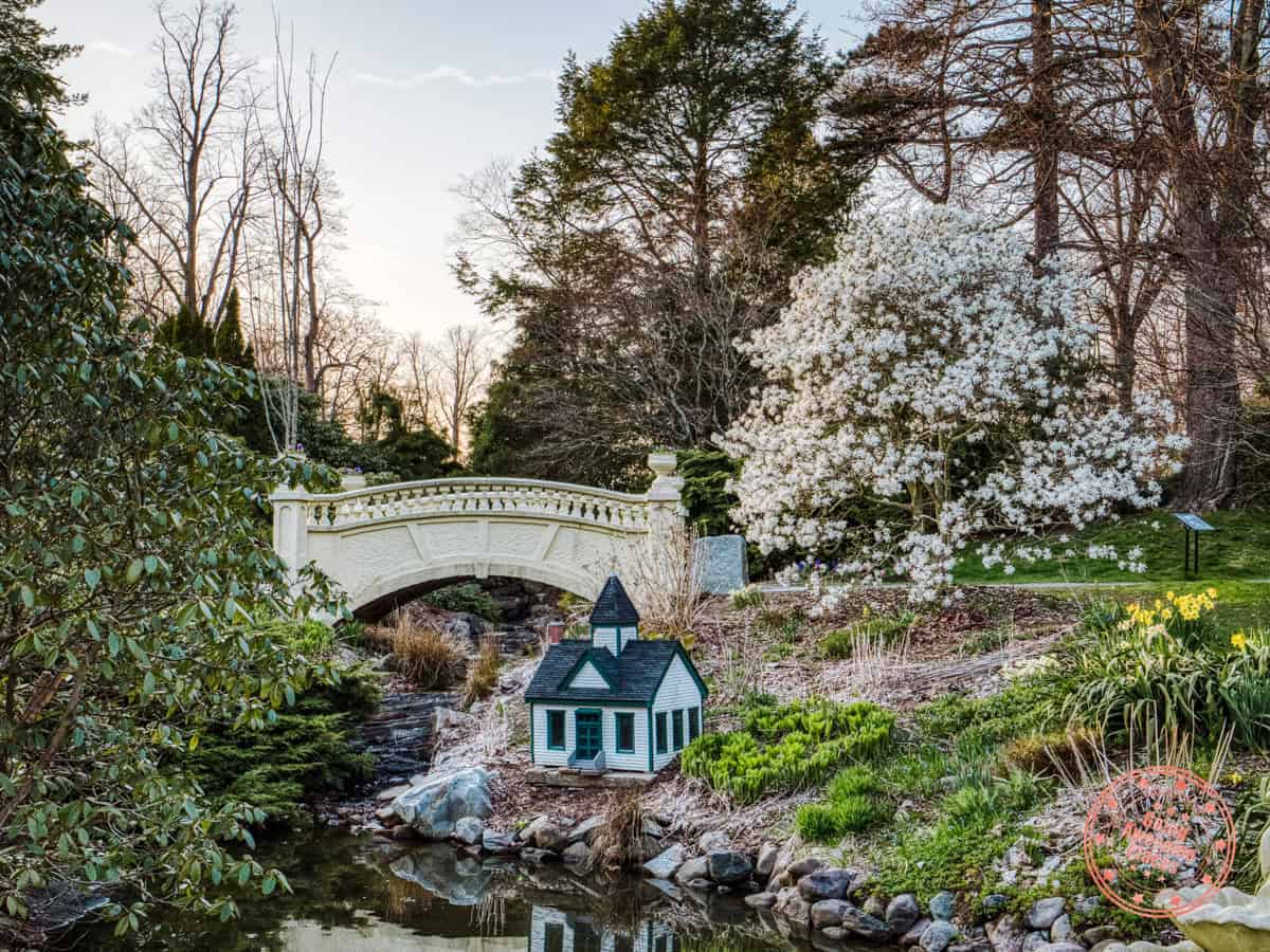 halifax public gardens bridge and mini house