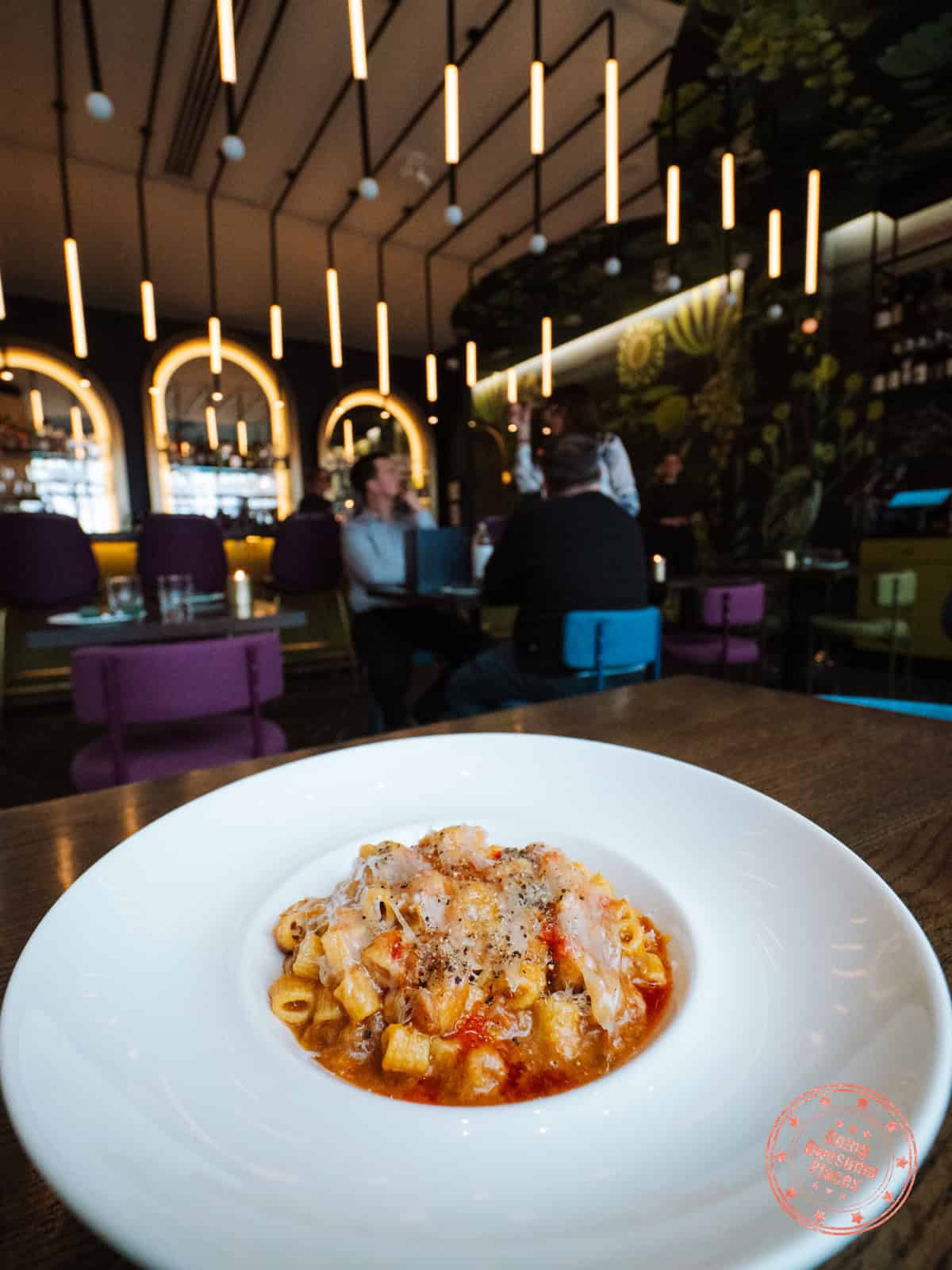 peacock wine bar tubetti amatriciana dish