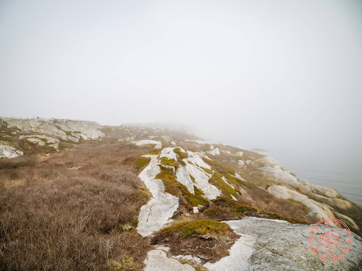 rocky outcropping on polly cove trail