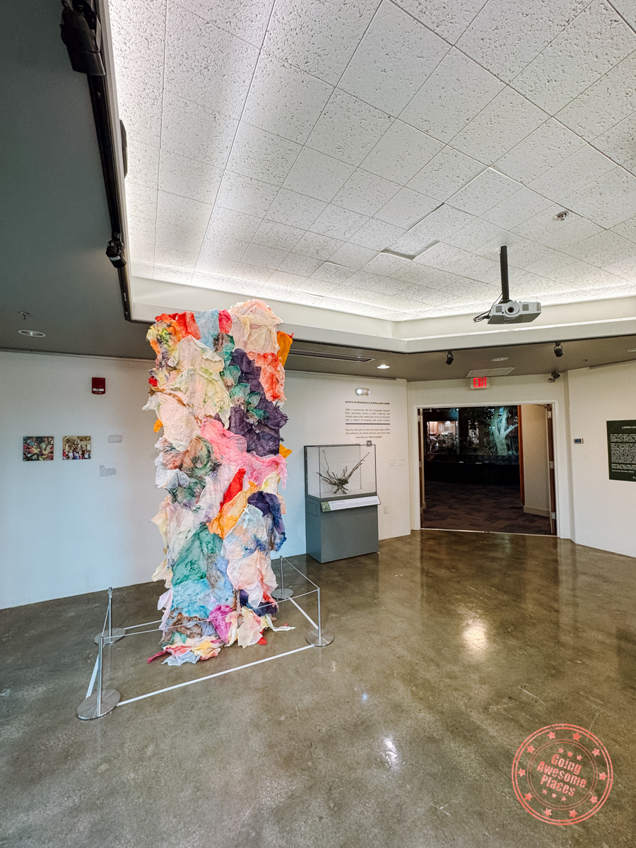 airie nest gallery in the everglades national park