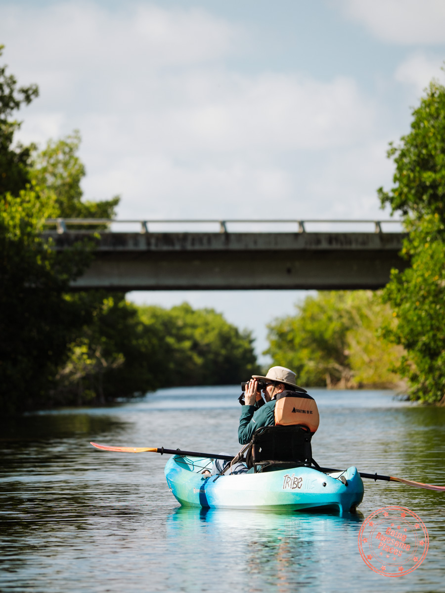 chantelle looking through binoculars while kayaking in the everglades national park