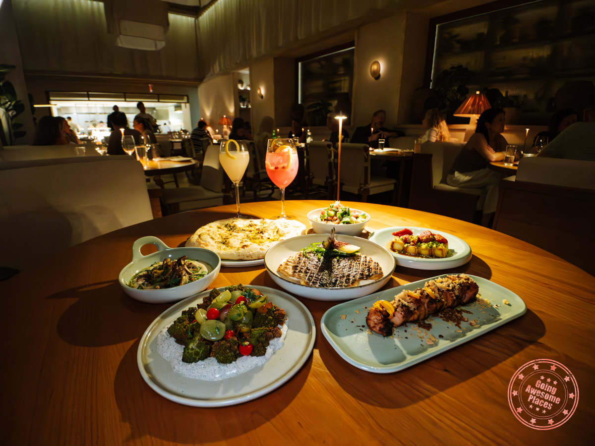 dinner dishes from aviv restaurant in miami