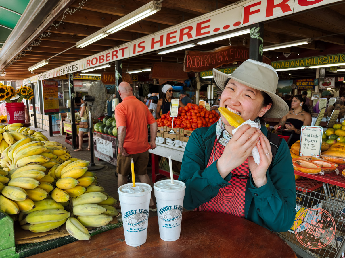 fresh fruit and smoothies from robert is here