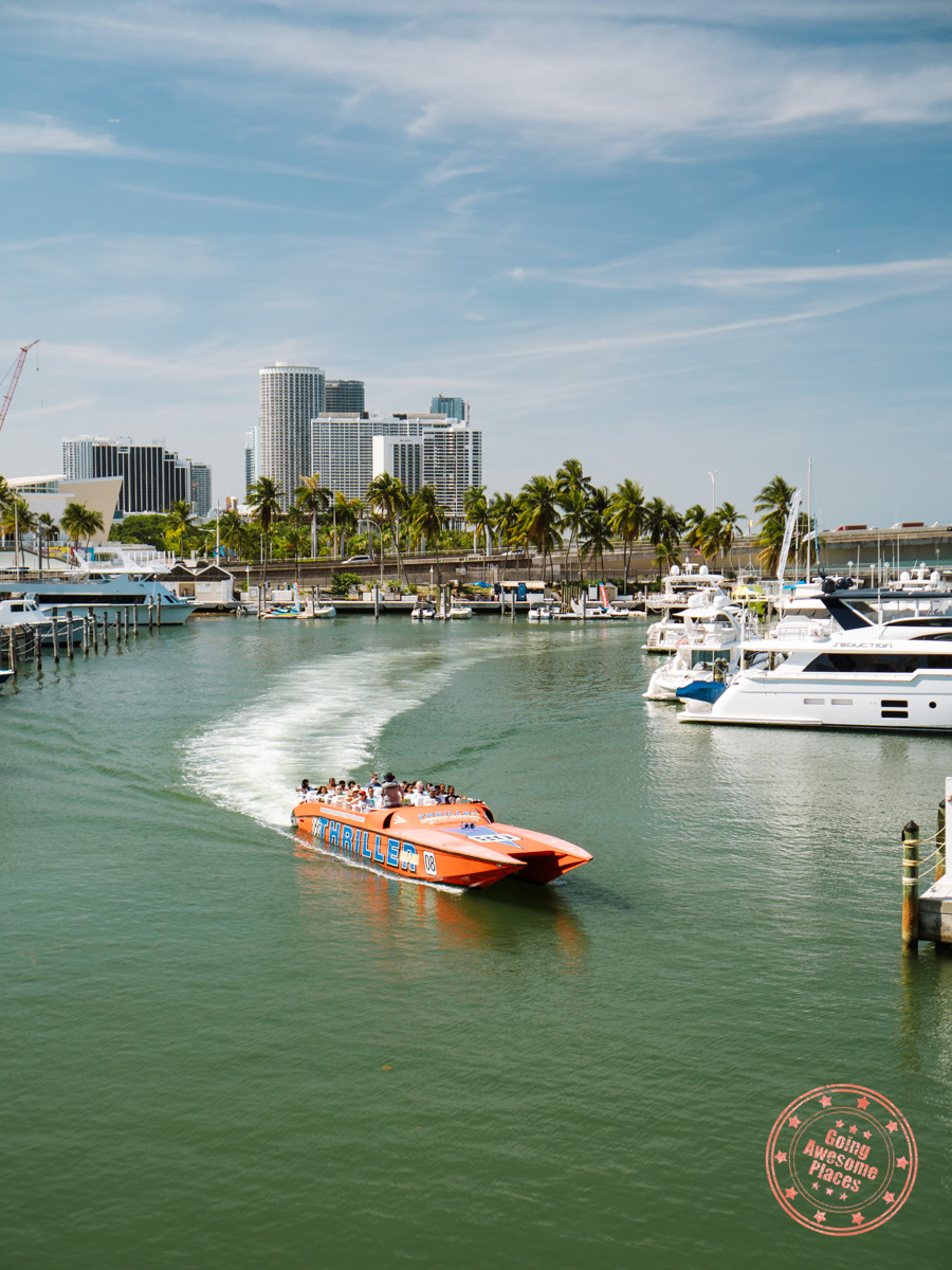 thriller miami speedboat tour